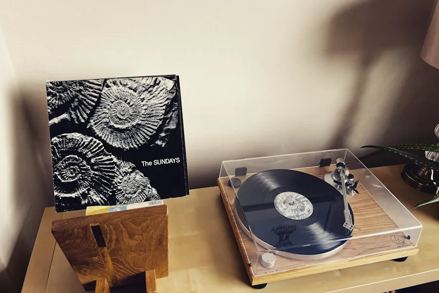 basta-vinylspelare-for-hemmabruk