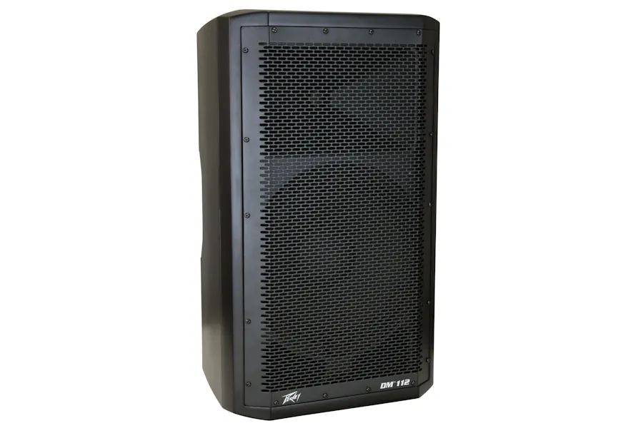 recension-av-peavey-dm112