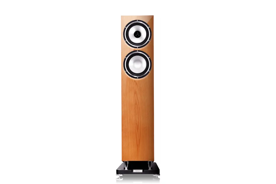 recension-av-tannoy-revolution-xt-6f
